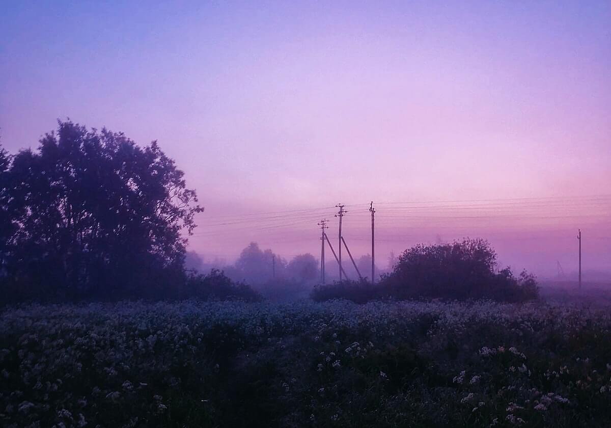 掌握运动新风潮：探索最全能的体育平台